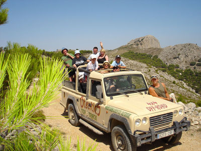 cip safari